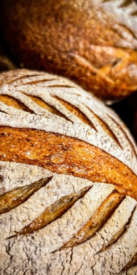 nosotros-nosotros-pan por-encargo